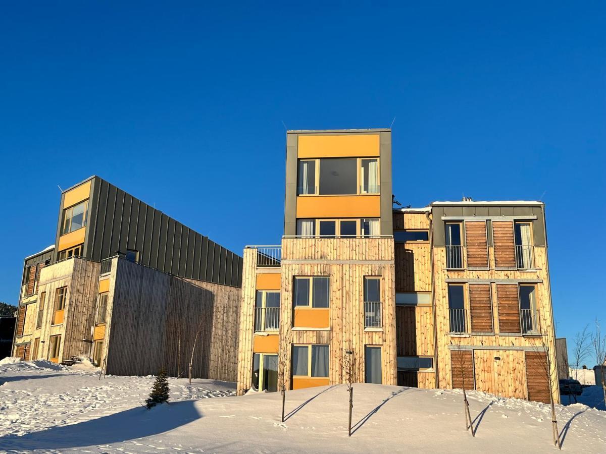 Meadows Apartments Klinovec Loucna pod Klinovcem Luaran gambar