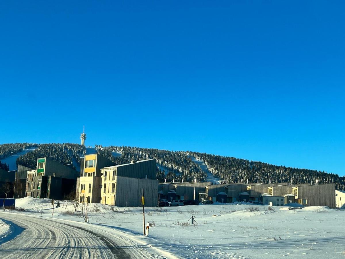 Meadows Apartments Klinovec Loucna pod Klinovcem Luaran gambar