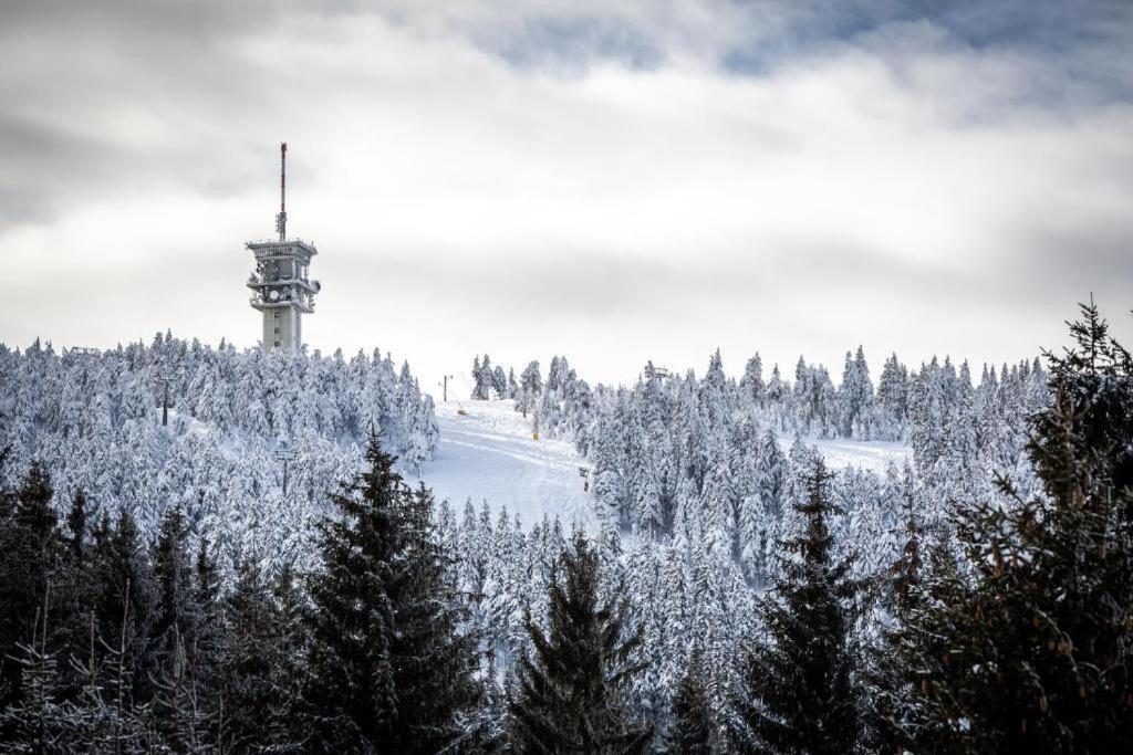 Meadows Apartments Klinovec Loucna pod Klinovcem Luaran gambar