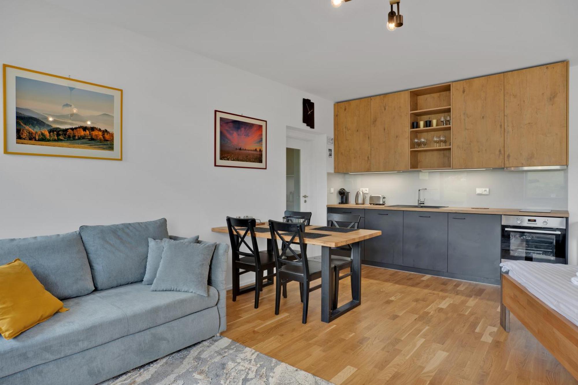 Meadows Apartments Klinovec Loucna pod Klinovcem Luaran gambar